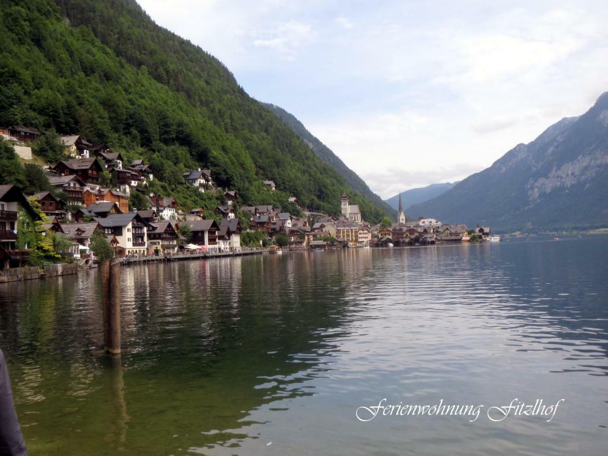 Fitzlhof Daire Sankt Koloman Dış mekan fotoğraf