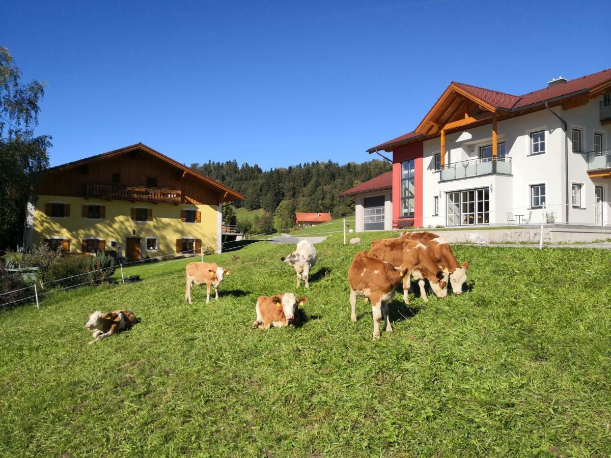 Fitzlhof Daire Sankt Koloman Dış mekan fotoğraf
