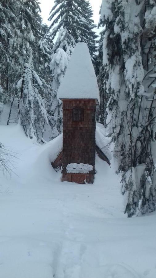 Fitzlhof Daire Sankt Koloman Dış mekan fotoğraf